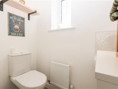 Picture 16